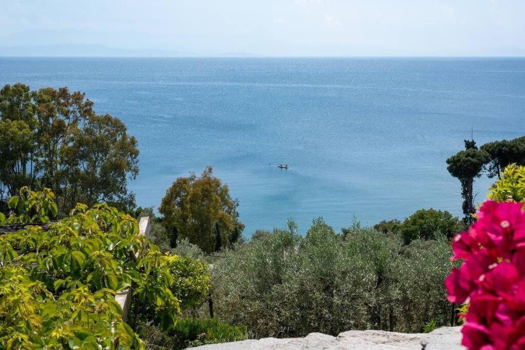 Seaside House With View Over Pagasitikos Afissos Eksteriør billede
